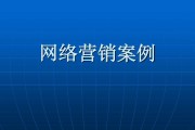 文化营销成功案例(文化营销成功案例PPT)