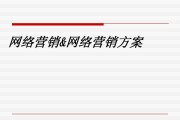 网络营销策划(网络营销策划目标主要为顾客提供网上联机服务)