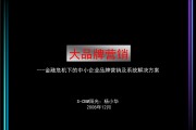 战略品牌营销(品牌战略和营销战略)