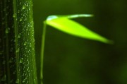 抖音全员营销
:有人说现在是全民抖音的时代，对此你怎么看？