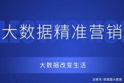大数据精准营销的案例(如何利用大数据精准营销)