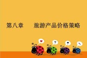旅游景区营销策略(旅游景区营销策略研究论文)