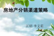 房地产营销策略有哪些(房地产销售策略和营销策略)