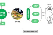 线下体验店营销方案(实体店线下促销活动方案)