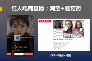 网红营销(网红营销策划)