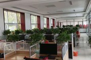 关于资深网络营销专员招聘的信息