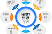 网络营销模式(客户关系管理下的网络营销模式)