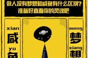 什么叫佛系营销(佛系销售是什么意思?)