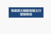 海底捞市场营销分析(海底捞市场营销分析swot)