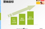 营销方案设计(网络营销方案设计)