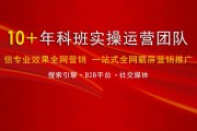 专业营销推广团队(专业营销推广团队线下)