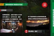民宿营销策划方案(民宿营销策划方案引言)
