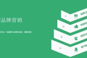 品牌营销(品牌营销案例)