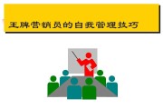 营销员管理(营销员管理指引检查报告)