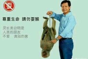 小米营销策略分析
:有人说现在有钱也买不到小米9首发机，对此你怎么看？所谓的“现货”是玩笑话吗？