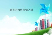 网络营销ppt(网络营销PPT怎么做)