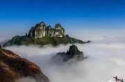 抖音营销平台
:抖音和快手的区别？哪个平台好？