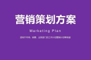 产品营销策划书(电子产品营销策划书)