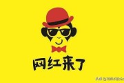 抖音网红营销
:怎么看抖音等网红带货销售对经济的影响？
