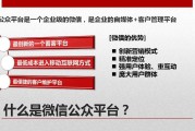 包含2015微信营销成功案例的词条