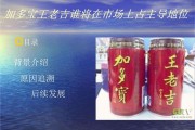 加多宝网络营销案例(加多宝新媒体营销案例分析)