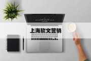 上海软文营销(上海软文撰写公司)
