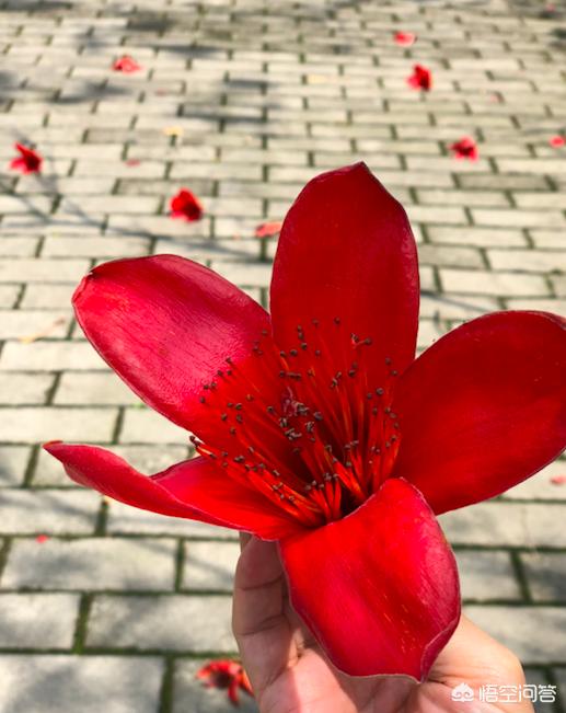 2019年你的年度关键词是什么？
