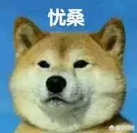 网络营销平台
:合适做网络销售的平台有哪些？