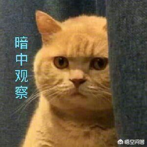 网络营销平台
:合适做网络销售的平台有哪些？