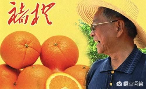 私域营销
:怎样打造情怀营销？
