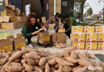 农产品营销渠道
:农产品营销渠道存在哪些问题？