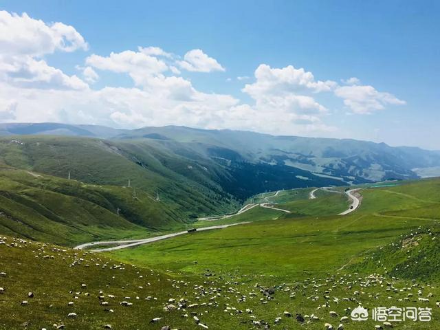 网络口碑营销
:企业应不应该做网络口碑，口碑营销如何开展？