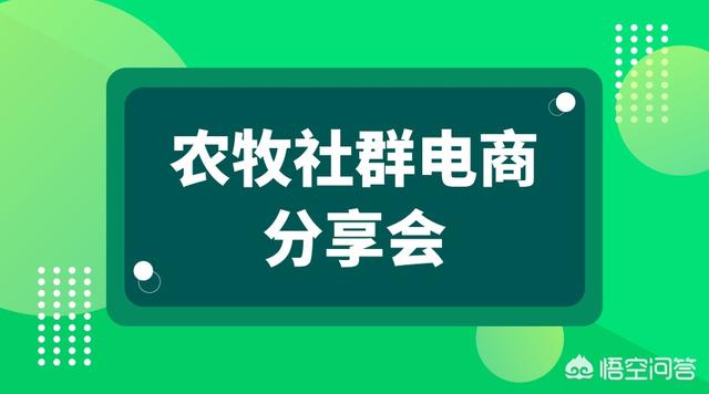 卖鸡的营销手段
:养鸡户如何通过网络来销售土鸡？