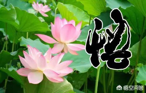 感动营销何思成资料
:销售如何快速提升销售水平？