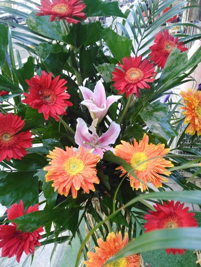 花店营销策略
:买花卉一年能挣多少钱？