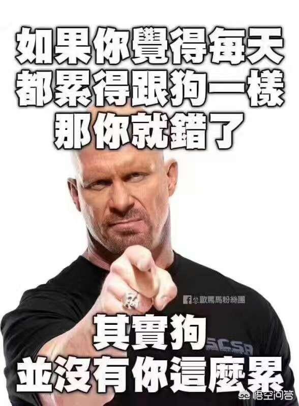 一个女营销员的自白
:女人做销售真的不行吗？