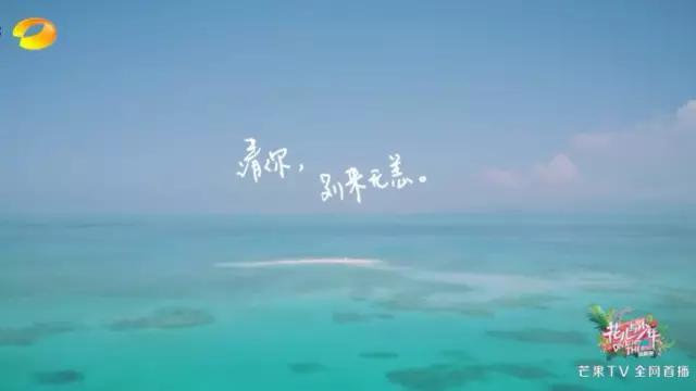 药品营销方案策划
:你见过最走心的广告文案是哪一句？