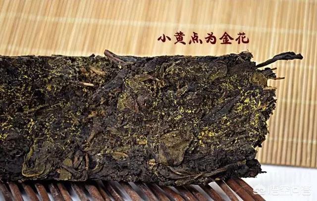 登封三楂红营销模式
:黑茶对人体有哪些作用和功效？