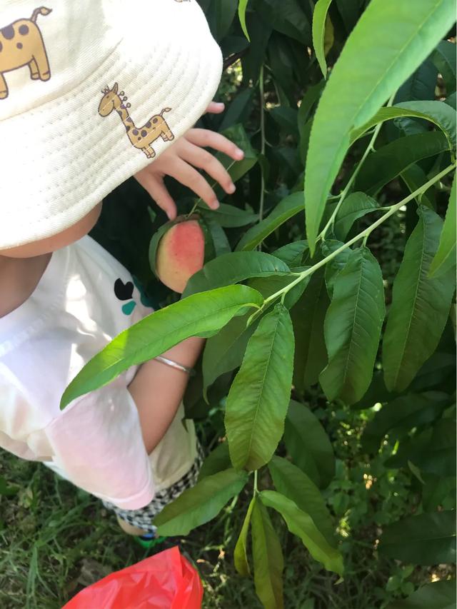 微商如何营销
:微商该如何运营？