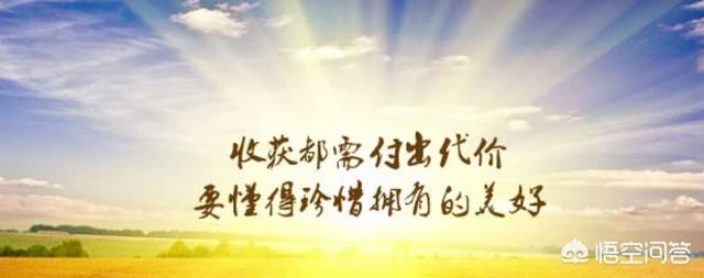 市场营销的功能
:企业市场营销中的作用是什么？