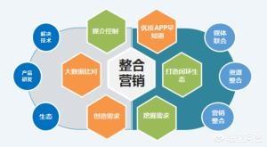 整合营销策略
:时下大热的整合营销是如何进行“整合”的？