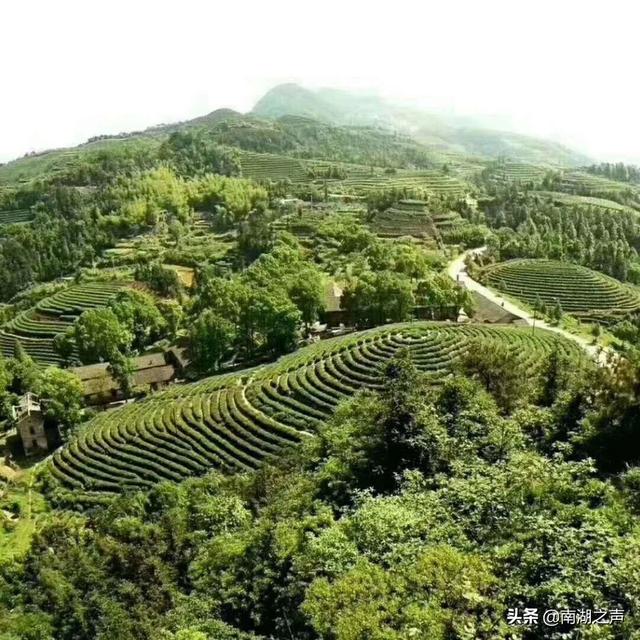 stp营销理论
:品牌天天都在做营销传播，那传播的本质到底是什么？就是把广告传给消费者吗？