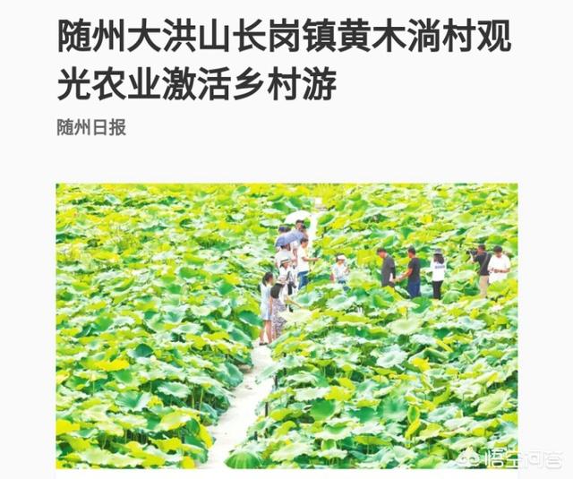 农家乐营销策划方案
:如何做好农村旅游营销？