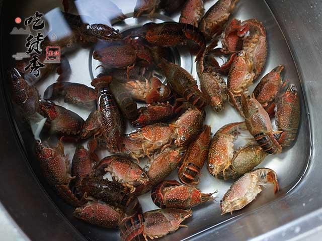 小龙虾营销方案
:怎样做好小龙虾的营销？
