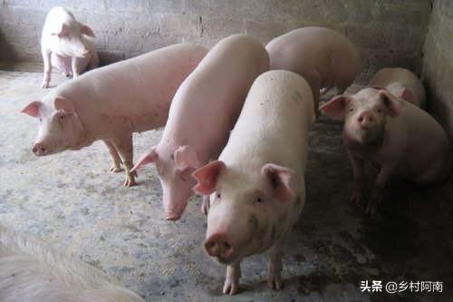 食品营销策略
:现在的农业生态食品真的感觉做不下去了，想要畅销，向各位请教一下营销怎么做好？