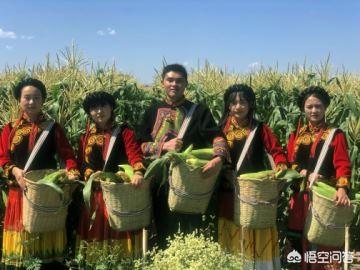 自媒体营销策略
:在农村用自媒体，把自己家的农产品，销售出去应该注意什么？