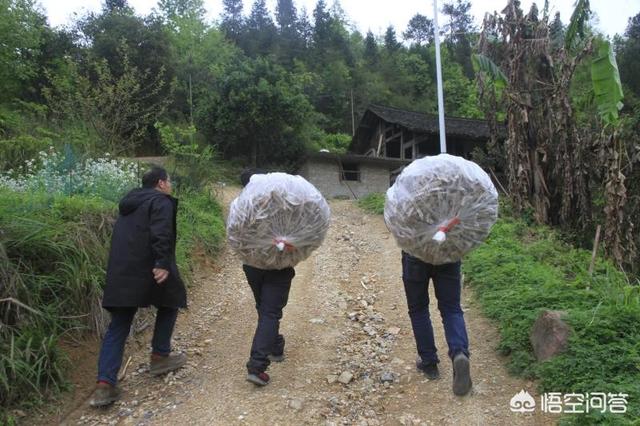 自媒体营销策略
:在农村用自媒体，把自己家的农产品，销售出去应该注意什么？