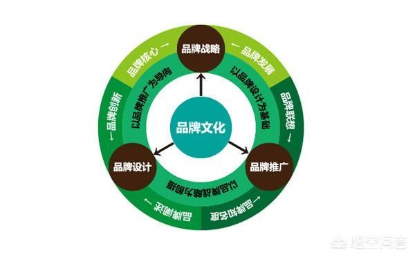 最成功的网络营销案例
:新品牌怎么做网络营销获取更多流量？