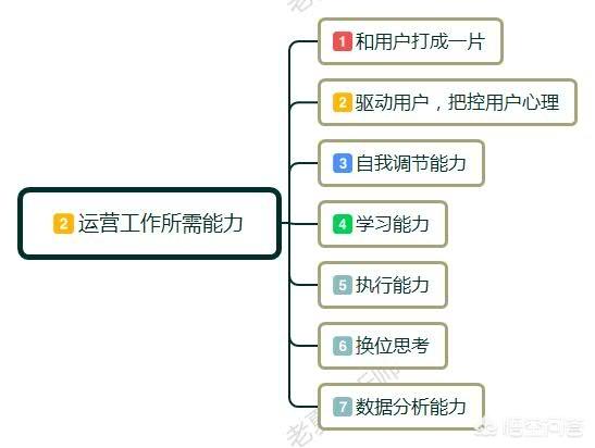 小红书运营服务
:运营是什么？