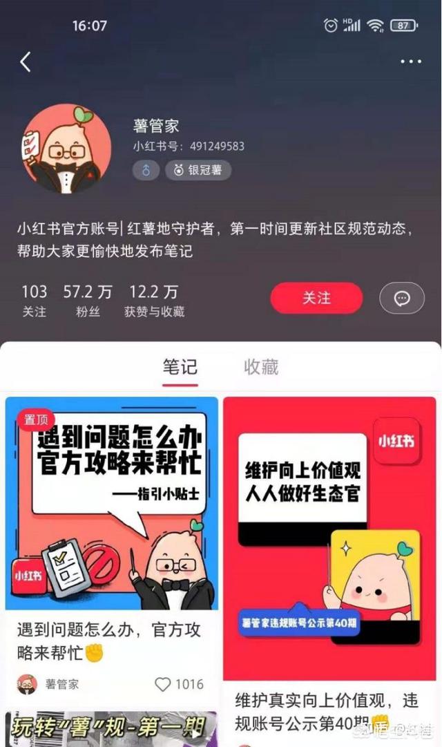小红书的营销案例
:想了解下小红书应该怎么样运营呢？